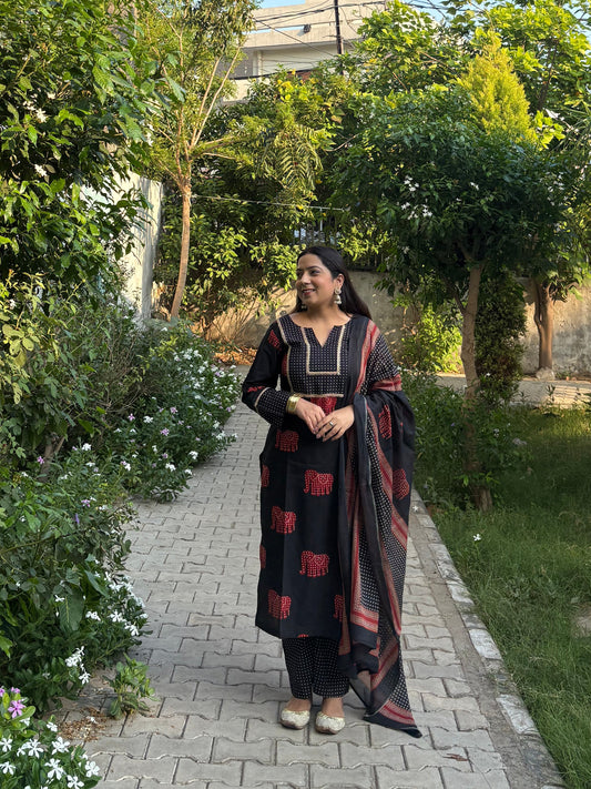 Rajwada Elephant Suit Set